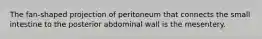 The fan-shaped projection of peritoneum that connects the small intestine to the posterior abdominal wall is the mesentery.
