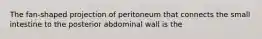 The fan-shaped projection of peritoneum that connects the small intestine to the posterior abdominal wall is the