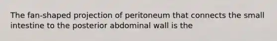 The fan-shaped projection of peritoneum that connects <a href='https://www.questionai.com/knowledge/kt623fh5xn-the-small-intestine' class='anchor-knowledge'>the small intestine</a> to the posterior abdominal wall is the