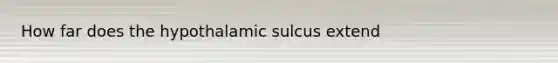 How far does the hypothalamic sulcus extend