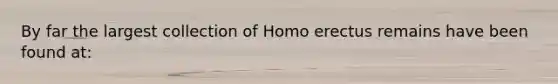 ​By far the largest collection of Homo erectus remains have been found at: