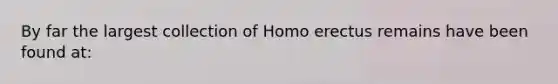 By far the largest collection of Homo erectus remains have been found at: