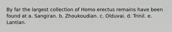 By far the largest collection of Homo erectus remains have been found at a. Sangiran. b. Zhoukoudian. c. Olduvai. d. Trinil. e. Lantian.