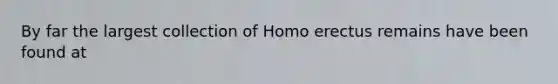 By far the largest collection of Homo erectus remains have been found at