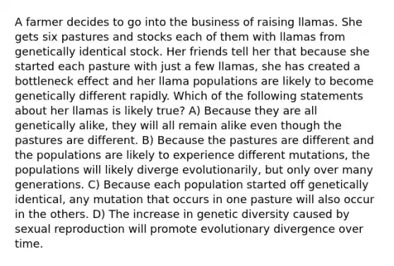 A farmer decides to go into the business of raising llamas. She gets six pastures and stocks each of them with llamas from genetically identical stock. Her friends tell her that because she started each pasture with just a few llamas, she has created a bottleneck effect and her llama populations are likely to become genetically different rapidly. Which of the following statements about her llamas is likely true? A) Because they are all genetically alike, they will all remain alike even though the pastures are different. B) Because the pastures are different and the populations are likely to experience different mutations, the populations will likely diverge evolutionarily, but only over many generations. C) Because each population started off genetically identical, any mutation that occurs in one pasture will also occur in the others. D) The increase in genetic diversity caused by sexual reproduction will promote evolutionary divergence over time.