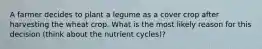 A farmer decides to plant a legume as a cover crop after harvesting the wheat crop. What is the most likely reason for this decision (think about the nutrient cycles)?