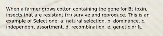 When a farmer grows cotton containing the gene for Bt toxin, insects that are resistant (rr) survive and reproduce. This is an example of Select one: a. natural selection. b. dominance. c. independent assortment. d. recombination. e. genetic drift.