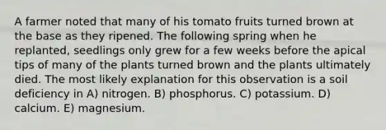 A farmer noted that many of his tomato fruits turned brown at the base as they ripened. The following spring when he replanted, seedlings only grew for a few weeks before the apical tips of many of the plants turned brown and the plants ultimately died. The most likely explanation for this observation is a soil deficiency in A) nitrogen. B) phosphorus. C) potassium. D) calcium. E) magnesium.