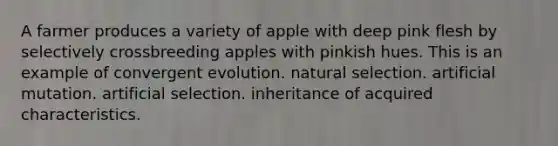 A farmer produces a variety of apple with deep pink flesh by selectively crossbreeding apples with pinkish hues. This is an example of convergent evolution. natural selection. artificial mutation. artificial selection. inheritance of acquired characteristics.