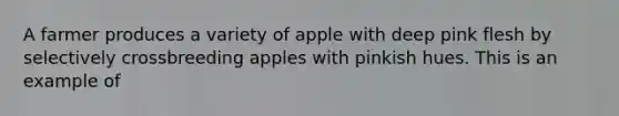 A farmer produces a variety of apple with deep pink flesh by selectively crossbreeding apples with pinkish hues. This is an example of