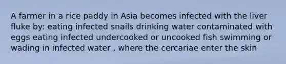 A farmer in a rice paddy in Asia becomes infected with the liver fluke by: eating infected snails drinking water contaminated with eggs eating infected undercooked or uncooked fish swimming or wading in infected water , where the cercariae enter the skin