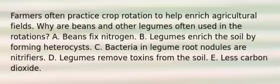 Farmers often practice crop rotation to help enrich agricultural fields. Why are beans and other legumes often used in the rotations? A. Beans fix nitrogen. B. Legumes enrich the soil by forming heterocysts. C. Bacteria in legume root nodules are nitrifiers. D. Legumes remove toxins from the soil. E. Less carbon dioxide.