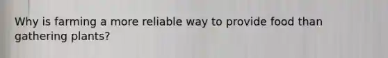 Why is farming a more reliable way to provide food than gathering plants?