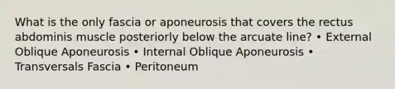 What is the only fascia or aponeurosis that covers the rectus abdominis muscle posteriorly below the arcuate line? • External Oblique Aponeurosis • Internal Oblique Aponeurosis • Transversals Fascia • Peritoneum