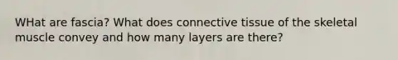 WHat are fascia? What does connective tissue of the skeletal muscle convey and how many layers are there?