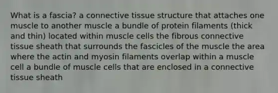 What is a fascia? a <a href='https://www.questionai.com/knowledge/kYDr0DHyc8-connective-tissue' class='anchor-knowledge'>connective tissue</a> structure that attaches one muscle to another muscle a bundle of protein filaments (thick and thin) located within muscle cells the fibrous connective tissue sheath that surrounds the fascicles of the muscle the area where the actin and myosin filaments overlap within a muscle cell a bundle of muscle cells that are enclosed in a connective tissue sheath