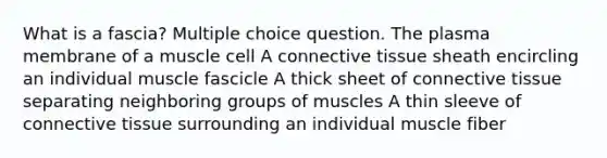 What is a fascia? Multiple choice question. The plasma membrane of a muscle cell A connective tissue sheath encircling an individual muscle fascicle A thick sheet of connective tissue separating neighboring groups of muscles A thin sleeve of connective tissue surrounding an individual muscle fiber