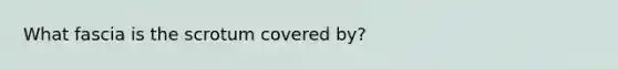 What fascia is the scrotum covered by?