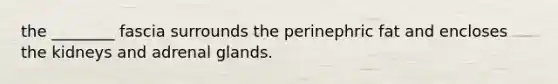 the ________ fascia surrounds the perinephric fat and encloses the kidneys and adrenal glands.
