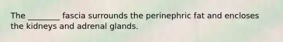 The ________ fascia surrounds the perinephric fat and encloses the kidneys and adrenal glands.