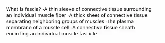 What is fascia? -A thin sleeve of connective tissue surrounding an individual muscle fiber -A thick sheet of connective tissue separating neighboring groups of muscles -The plasma membrane of a muscle cell -A connective tissue sheath encircling an individual muscle fascicle