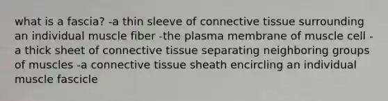 what is a fascia? -a thin sleeve of connective tissue surrounding an individual muscle fiber -the plasma membrane of muscle cell -a thick sheet of connective tissue separating neighboring groups of muscles -a connective tissue sheath encircling an individual muscle fascicle