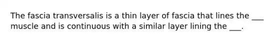 The fascia transversalis is a thin layer of fascia that lines the ___ muscle and is continuous with a similar layer lining the ___.