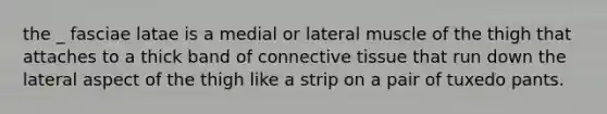 the _ fasciae latae is a medial or lateral muscle of the thigh that attaches to a thick band of <a href='https://www.questionai.com/knowledge/kYDr0DHyc8-connective-tissue' class='anchor-knowledge'>connective tissue</a> that run down the lateral aspect of the thigh like a strip on a pair of tuxedo pants.