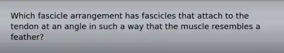 Which fascicle arrangement has fascicles that attach to the tendon at an angle in such a way that the muscle resembles a feather?