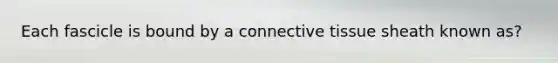Each fascicle is bound by a connective tissue sheath known as?