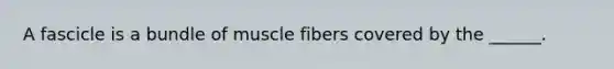 A fascicle is a bundle of muscle fibers covered by the ______.