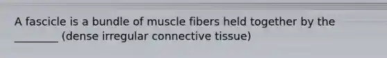 A fascicle is a bundle of muscle fibers held together by the ________ (dense irregular connective tissue)