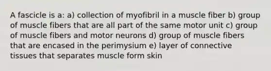 A fascicle is a: a) collection of myofibril in a muscle fiber b) group of muscle fibers that are all part of the same motor unit c) group of muscle fibers and motor neurons d) group of muscle fibers that are encased in the perimysium e) layer of connective tissues that separates muscle form skin