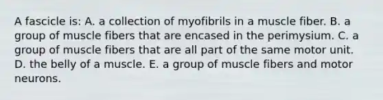 A fascicle is: A. a collection of myofibrils in a muscle fiber. B. a group of muscle fibers that are encased in the perimysium. C. a group of muscle fibers that are all part of the same motor unit. D. the belly of a muscle. E. a group of muscle fibers and motor neurons.