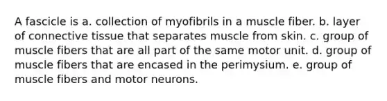 A fascicle is a. collection of myofibrils in a muscle fiber. b. layer of connective tissue that separates muscle from skin. c. group of muscle fibers that are all part of the same motor unit. d. group of muscle fibers that are encased in the perimysium. e. group of muscle fibers and motor neurons.