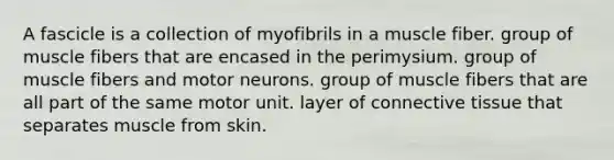 A fascicle is a collection of myofibrils in a muscle fiber. group of muscle fibers that are encased in the perimysium. group of muscle fibers and motor neurons. group of muscle fibers that are all part of the same motor unit. layer of connective tissue that separates muscle from skin.