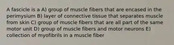 A fascicle is a A) group of muscle fibers that are encased in the perimysium B) layer of connective tissue that separates muscle from skin C) group of muscle fibers that are all part of the same motor unit D) group of muscle fibers and motor neurons E) collection of myofibrils in a muscle fiber