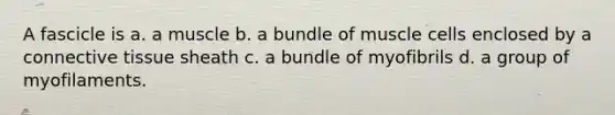 A fascicle is a. a muscle b. a bundle of muscle cells enclosed by a connective tissue sheath c. a bundle of myofibrils d. a group of myofilaments.