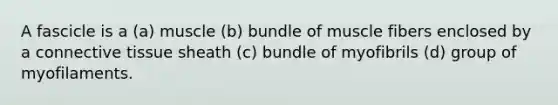 A fascicle is a (a) muscle (b) bundle of muscle fibers enclosed by a connective tissue sheath (c) bundle of myofibrils (d) group of myofilaments.