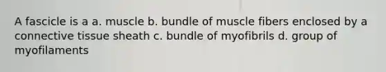 A fascicle is a a. muscle b. bundle of muscle fibers enclosed by a <a href='https://www.questionai.com/knowledge/kYDr0DHyc8-connective-tissue' class='anchor-knowledge'>connective tissue</a> sheath c. bundle of myofibrils d. group of myofilaments