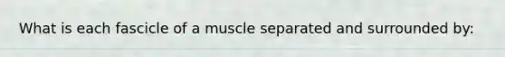 What is each fascicle of a muscle separated and surrounded by: