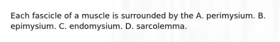 Each fascicle of a muscle is surrounded by the A. perimysium. B. epimysium. C. endomysium. D. sarcolemma.