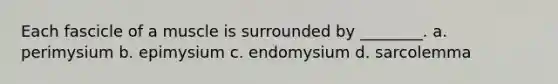 Each fascicle of a muscle is surrounded by ________. a. perimysium b. epimysium c. endomysium d. sarcolemma