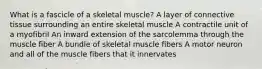 What is a fascicle of a skeletal muscle? A layer of connective tissue surrounding an entire skeletal muscle A contractile unit of a myofibril An inward extension of the sarcolemma through the muscle fiber A bundle of skeletal muscle fibers A motor neuron and all of the muscle fibers that it innervates