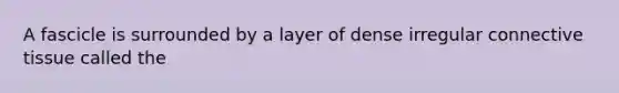 A fascicle is surrounded by a layer of dense irregular connective tissue called the