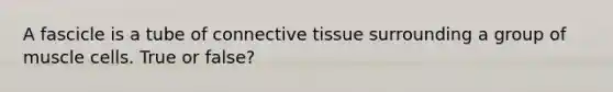 A fascicle is a tube of connective tissue surrounding a group of muscle cells. True or false?