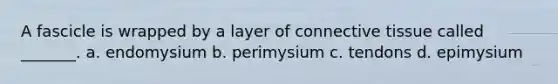 A fascicle is wrapped by a layer of connective tissue called _______. a. endomysium b. perimysium c. tendons d. epimysium