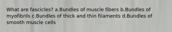 What are fascicles? a.Bundles of muscle fibers b.Bundles of myofibrils c.Bundles of thick and thin filaments d.Bundles of smooth muscle cells