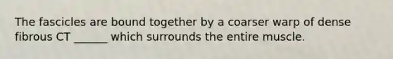 The fascicles are bound together by a coarser warp of dense fibrous CT ______ which surrounds the entire muscle.
