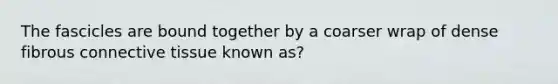 The fascicles are bound together by a coarser wrap of dense fibrous connective tissue known as?